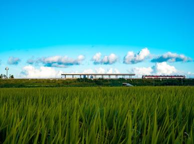 [입선] 논밭, 기차, 구름(김건우作) 이미지