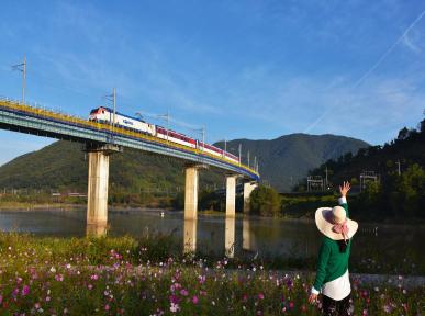 [입선] 가을 열차(김기만作) 이미지