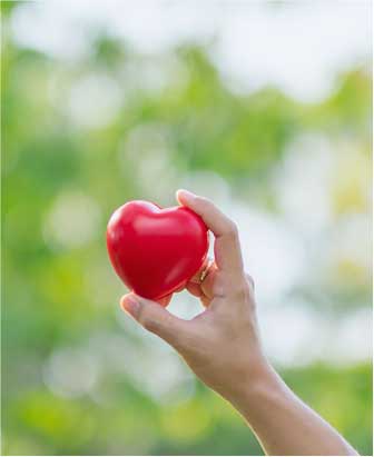 photo of hand holding a heart